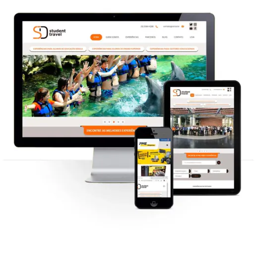 Layout responsivo do projeto de criação de sites: 