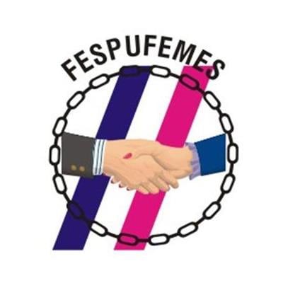 logo Fespufemes