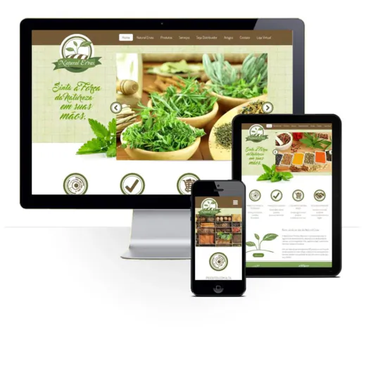 Layout responsivo do projeto de criação de sites: 