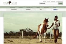 Mavolle: Website criado pela ALDABRA