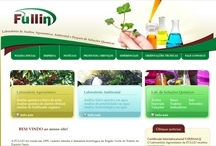 Fullin: Website criado pela ALDABRA
