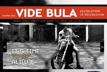 Videbula: Website criado pela ALDABRA