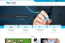 Líder Contabilidade: Website criado pela ALDABRA