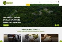 Curumim da Amazonia: Website criado pela ALDABRA