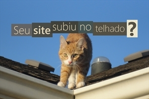 A importância do conteúdo na vida de um site
