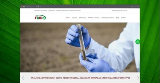 Criar site - Fullin